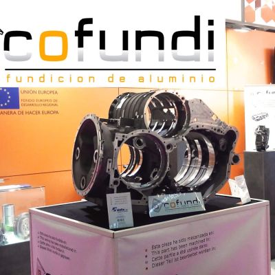 stanf_cofundi